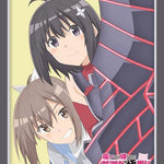 "BOFURI: I Don't Want to Get Hurt, so I'll Max Out My Defense Season 2" Part. 2 Bushiroad Sleeve Collection High-grade Vol. 3730