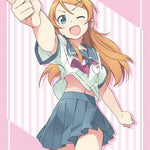 "Ore no Imouto ga Konnani Kawaii Wake ga Nai" Kousaka Kirino Bushiroad Sleeve Collection High-grade Vol. 3824