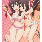 "Kono Subarashii Sekai ni Bakuen wo!" Yunyun & Megumin Bushiroad Sleeve Collection High-grade Vol. 3869