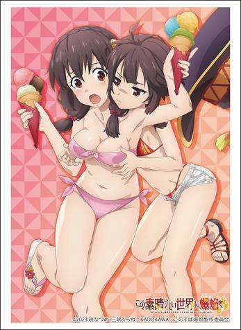 "Kono Subarashii Sekai ni Bakuen wo!" Yunyun & Megumin Bushiroad Sleeve Collection High-grade Vol. 3869