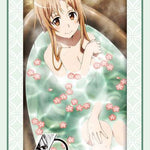 "Sword Art Online" 10th Anniversary Asuna Part. 5 Bushiroad Sleeve Collection High-grade Vol. 3815