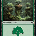 Forest (274) [DMU - 274]