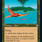 Birds of Paradise (Retro Frame)