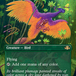 Birds of Paradise (Borderless)