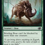 Bristling Boar