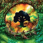 Forest Art Card (32/54) [AATDM - 32]