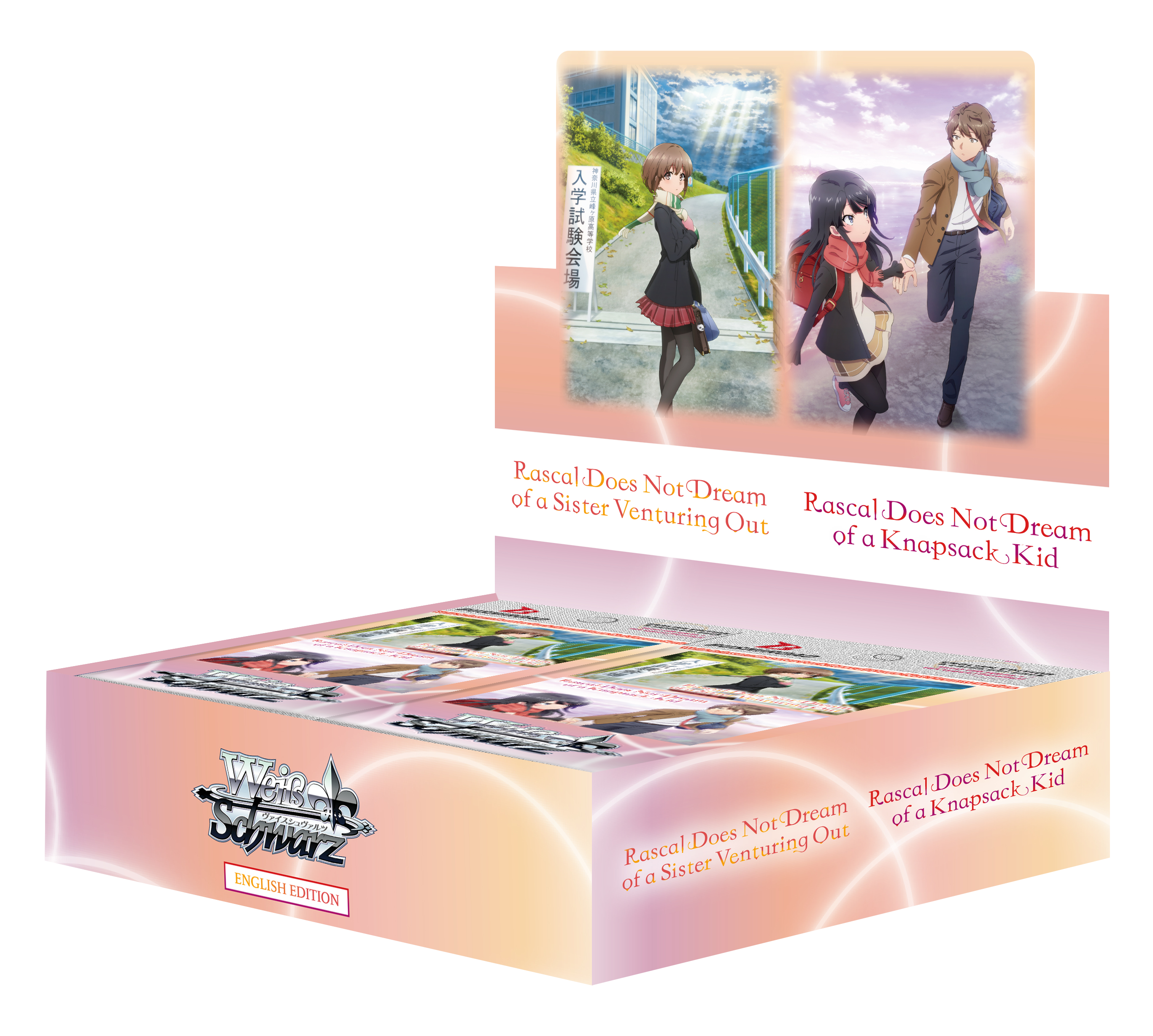 KARA ファンミ トレカセット 白 黒 20セット KARA ファンミ トレカ