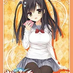 HG Vol.851: Sabbat of the Witch "Touko Togakushi" - WeebDen