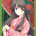 HG Vol.639: Tsuki ni Yorisou Otome no Sahou "Mizuho Hahanomiya" - WeebDen